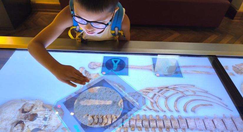 Gyerekkel Bécsben? 31 ingyenes gyerekprogram az osztrák fővárosban  fotók, videó