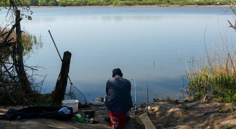 MOHOSZ: aggasztó hír a balatoni horgászoknak