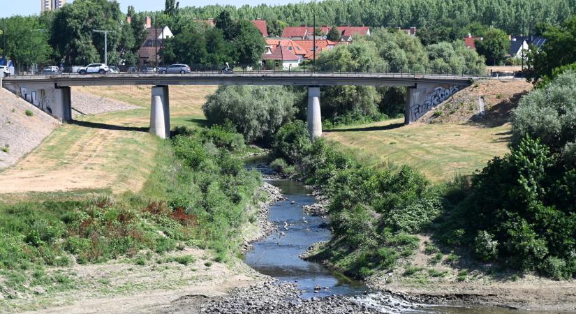 Elkezdték kikotorni a Zagyvát, súlyos természetkárosításra figyelmeztetnek