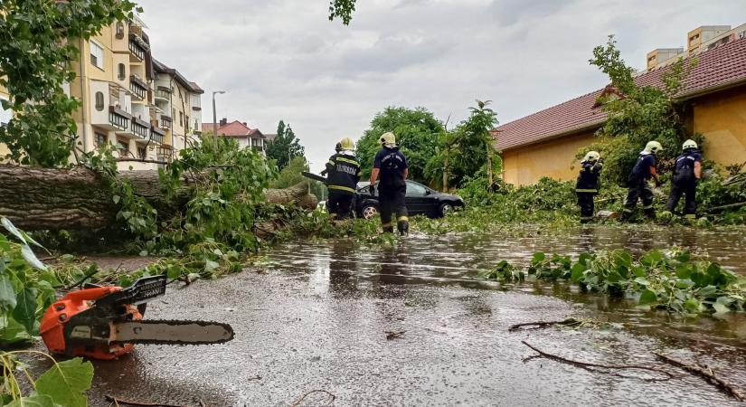Viharkárok Debrecenben: begyűjtik a gallyakat, ágakat