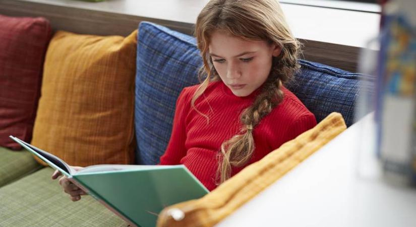 Hogy hívják A Pál utcai fiúk elnökét? 6 kérdés irodalomból, amire illik tudni a választ