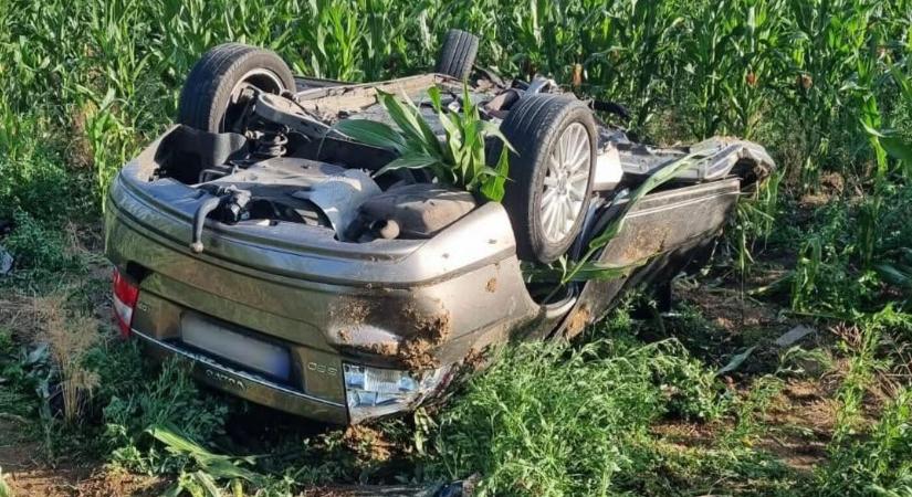 TRAGÉDIA: Fának ütközött az autójával, szörnyethalt a fiatal sofőr