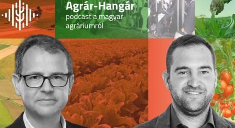 Derdák Gábor: A gazdálkodás a hivatásom – és egy kicsit a hobbim is