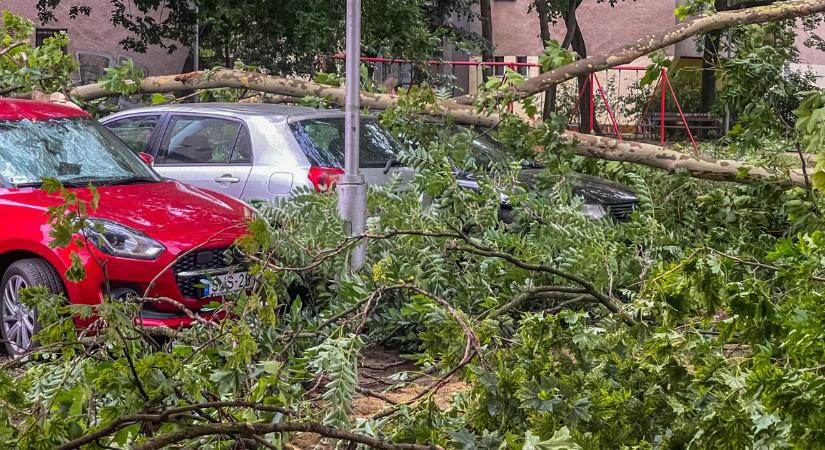 Így lehet a vihar utáni kárigényt bejelenteni a debreceni önkormányzatnak