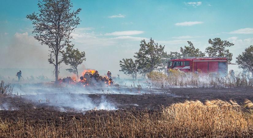 Rendkívüli bejelentést tett a hatóság a tűzgyújtási tilalommal kapcsolatban