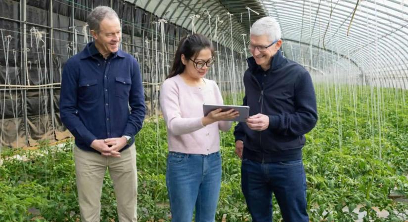 Operatív igazgatót vált az Apple