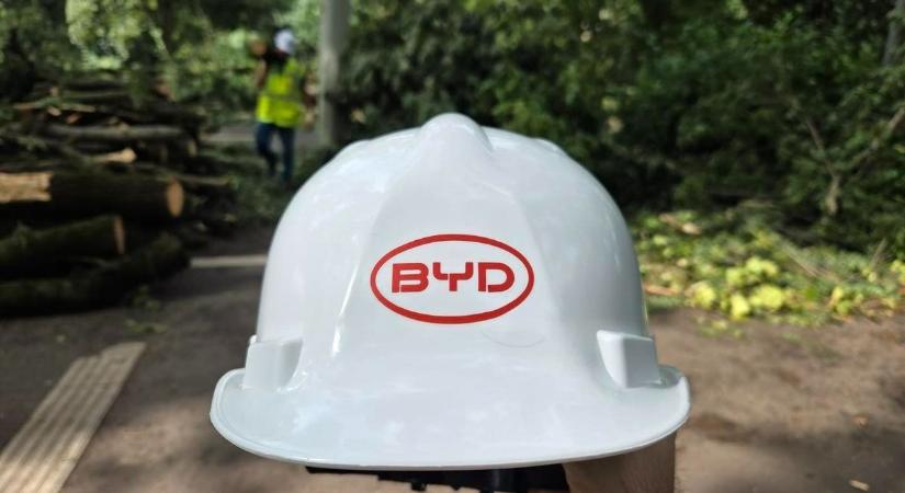 A BYD ismét beavatkozott Szeged életébe: most Farkas Leventével együtt kezdték el a szervezkedést