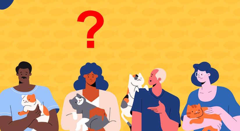 IQ-teszt, logika: kitalálja 3 mondatból, hogyan hívják a szürke-fehér macskát?