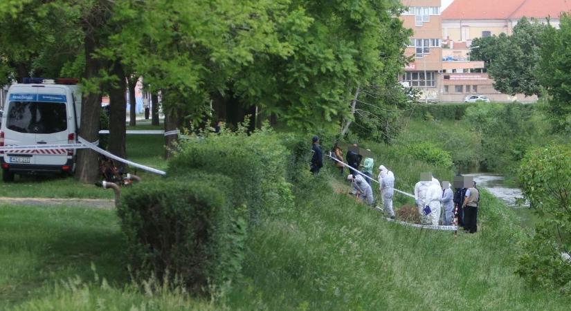 Huszonöt éves gyilkossági ügyet oldott meg a rendőrség a szomszéd vármegyében - elképesztő kegyetlenséggel ölt az apa