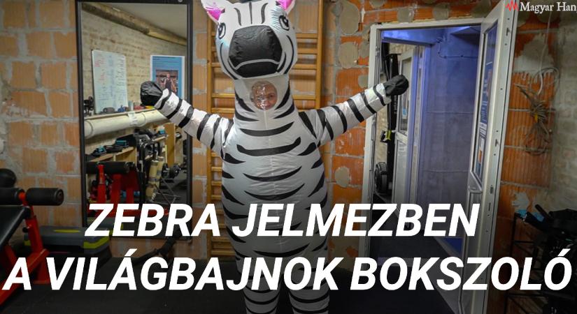 Világbajnok bokszolónő „pusztít” zebrajelmezben a tüntetéseken