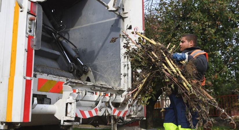 Rendkívüli zöldhulladék elszállítást szerveznek a viharkárok után Debrecenben