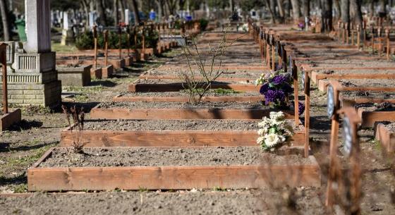 Az ítéletidő a Debreceni Köztemetőt sem kímélte, erre számíthatnak a károsultak