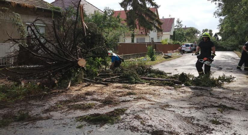 Kossuth Kifli Kávézó: büszkék vagyunk, hogy ilyen vendégeink vannak