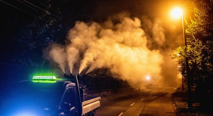 Elmaradott és káros a módszer, amivel Magyarországon zajlik a szúnyoggyérítés