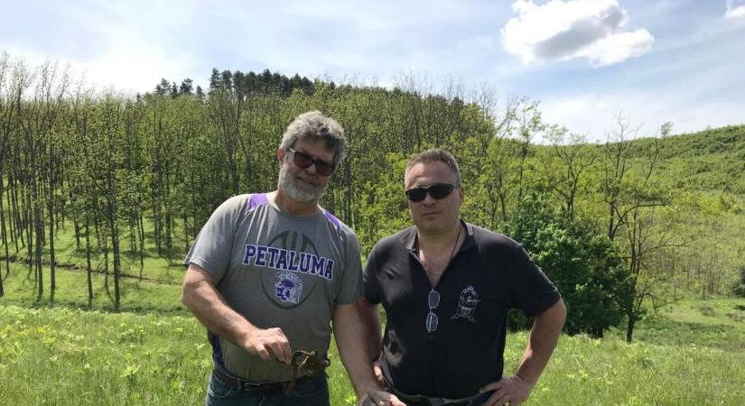 Amerikai bombázó zuhant le Tolnában, ketten élték túl a tragédiát