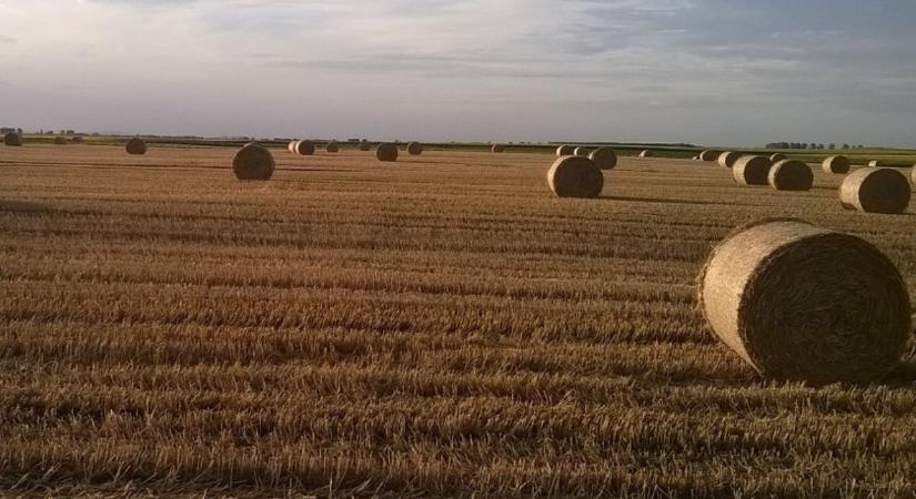 ARASZ Gazdálkodási Napló és Farm menedzsment!