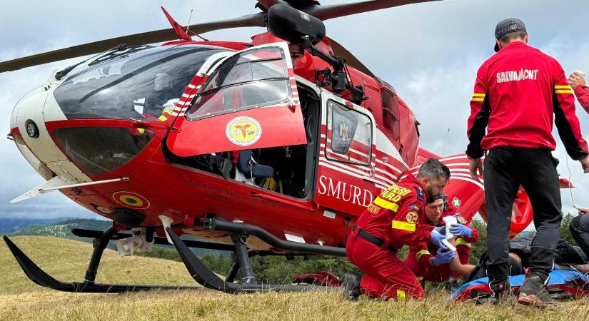 Fiatal juhászra támadt a medve, petárdával próbálta meg elriasztani