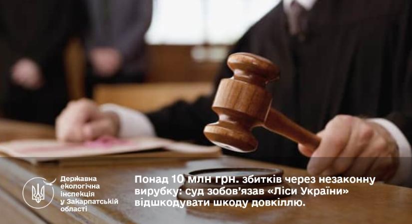 Több mint 10 millió hrivnyába kerül az erdészetnek az illegális fakitermelés Szvidovecben