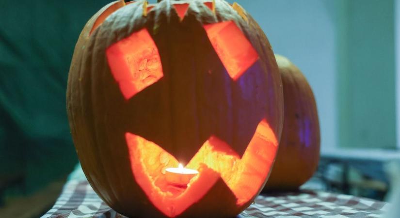 Ősz a boltok polcain: megérkeztek a tökös díszek