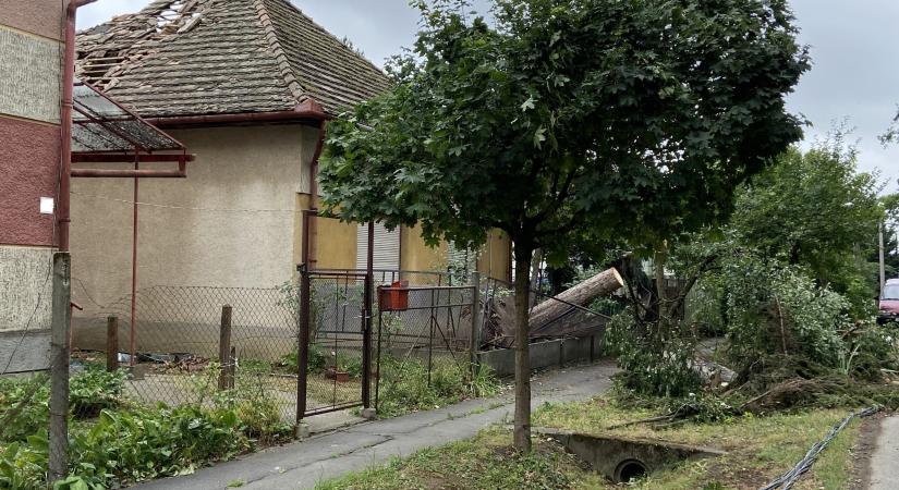 Egyszerűsített kárbejelentéssel segítik a biztosítók az ügyfeleket