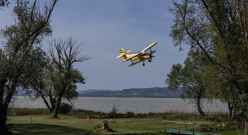 Ki ne menjen az utcára, ha szúnyogirtás van, szörnyű betegségeket okozhat