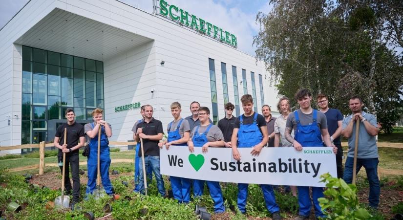 A szombathelyi Schaeffler komoly lépéseket tesz a biodiverzitás megőrzéséért