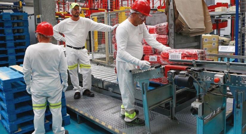 Csoportos létszámleépítés Vasban: több mint harminc embert érint
