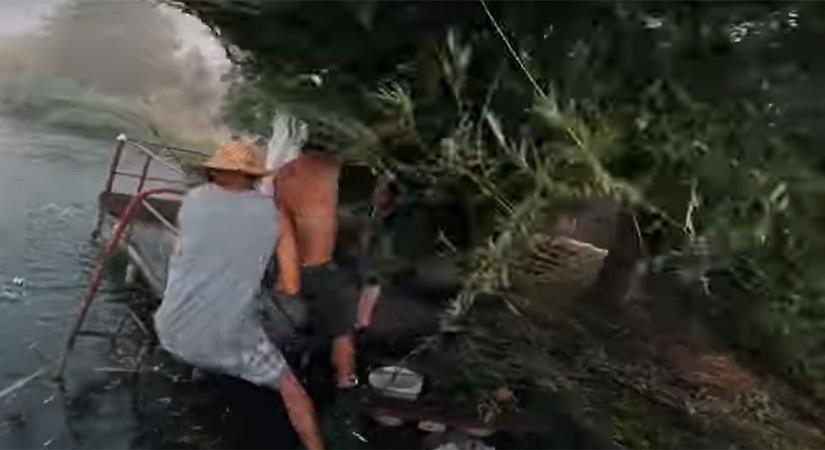 „Majdnem otthagytuk a fogunkat”: horgászokra döntött egy hatalmas fát a vihar a Keletin – videóval
