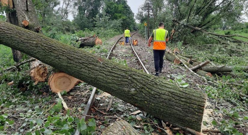 Megszólalt az áramütést kapott kisvárdai MÁV dolgozó, különleges részleteket árult el a balesetről