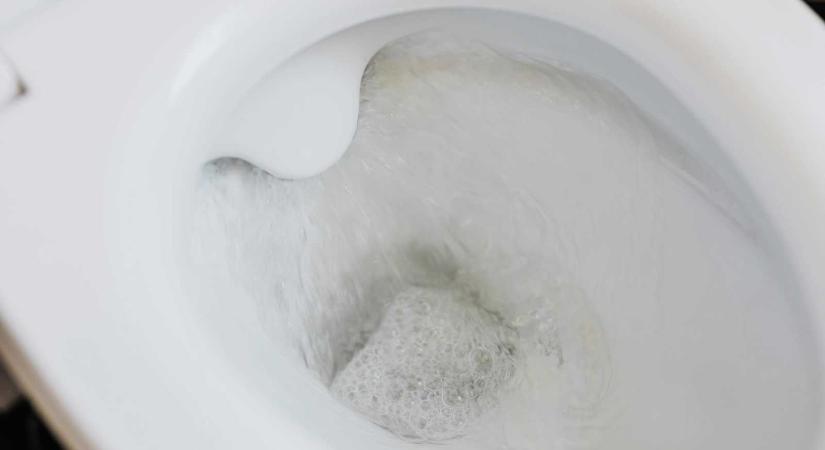 Vécécsészében hagyta meghalni újszülött csecsemőjét egy nő