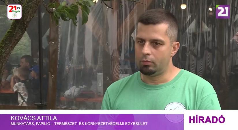 VII. Nagydobronyi erdei iskola (videó)
