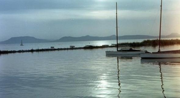 A Balatonnál is elérhető a Mol Limo szolgáltatása