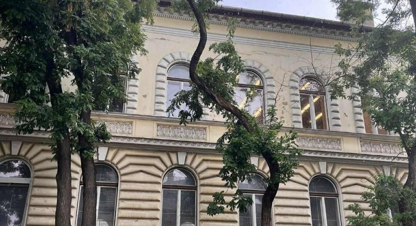 Veszélyes fák a belvárosban, csalók akarják kihasználni a károsultakat