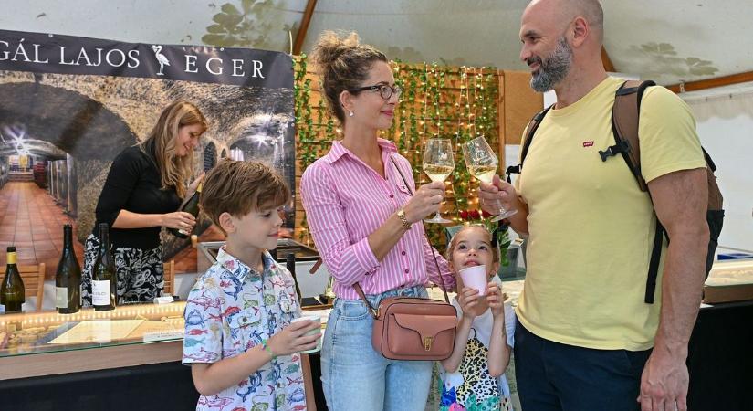 Díjátadóval, koncertekkel startolt el az Egri Bor Ünnepe  fotók és videó