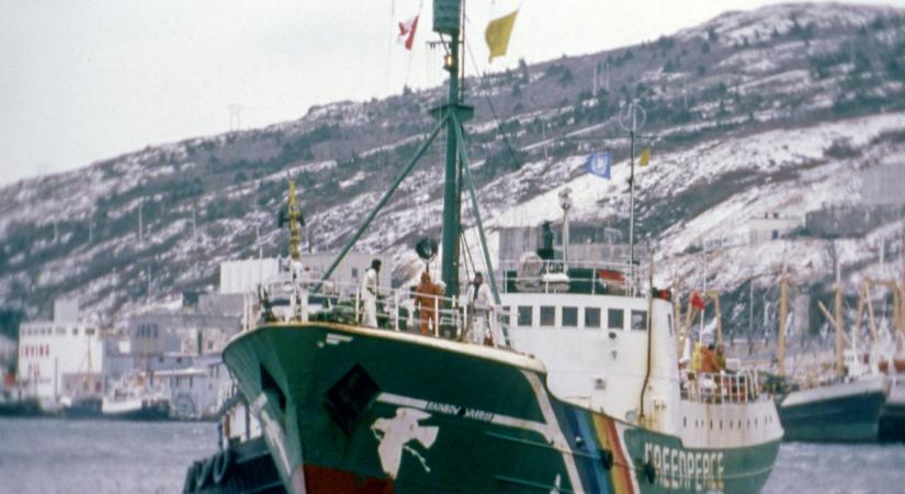 40 éve robbantották fel a Greenpeace hajóját, globális mozgalmat indítottak el a történtek
