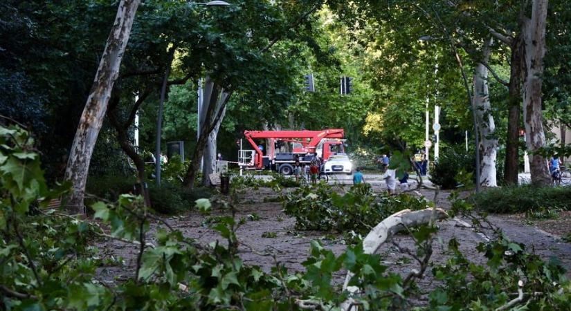 Bajban a biztosítók? Több, mint 11 ezer kárbejelentés érkezett