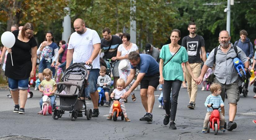 Dermesztő ábrák és térképek mutatják meg nekünk a magyarság jövőjét