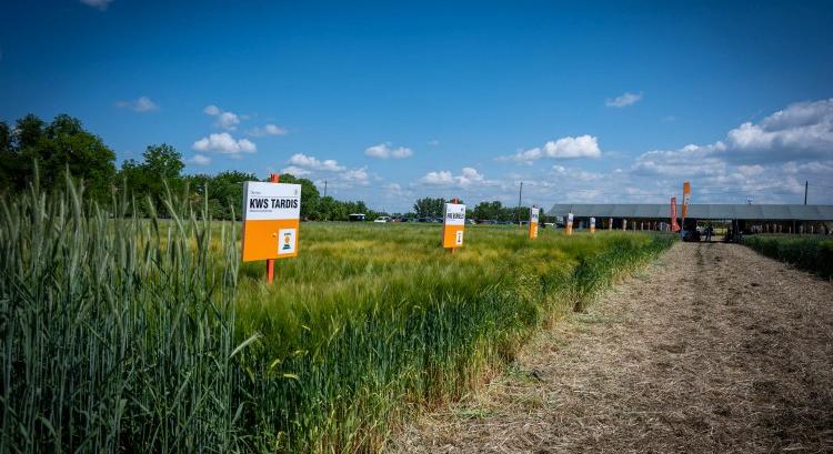 KWS-fajtakínálat 2025: minőség és védelem együtt