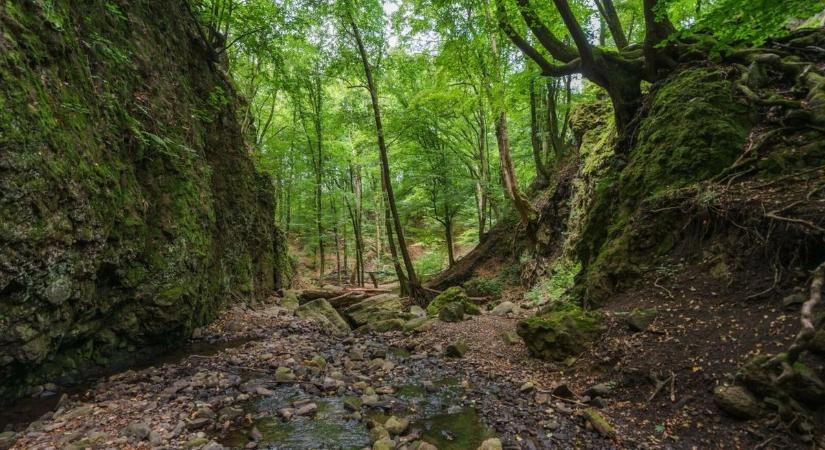 Természetvédelmi okból módosultak a Csörgő-völgy turistaútvonalai, mutatjuk a térképet