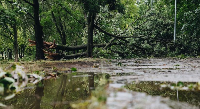 Hatalmas pusztítást végzett a vihar az Óbudai-szigeten, a hétvégén még nem lehet látogatni