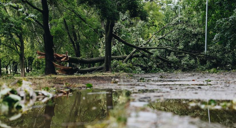 Zárva marad a Hajógyári - képek az állapotokról