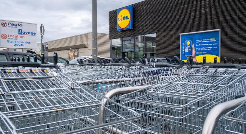 A Lidl-tulajdonos Schwarz Csoport is ráhajt a nagy, európai AI-fejlesztésekre