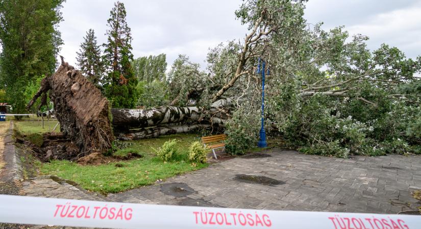 Évtizedes rekordott döntött a vihar Magyarországon