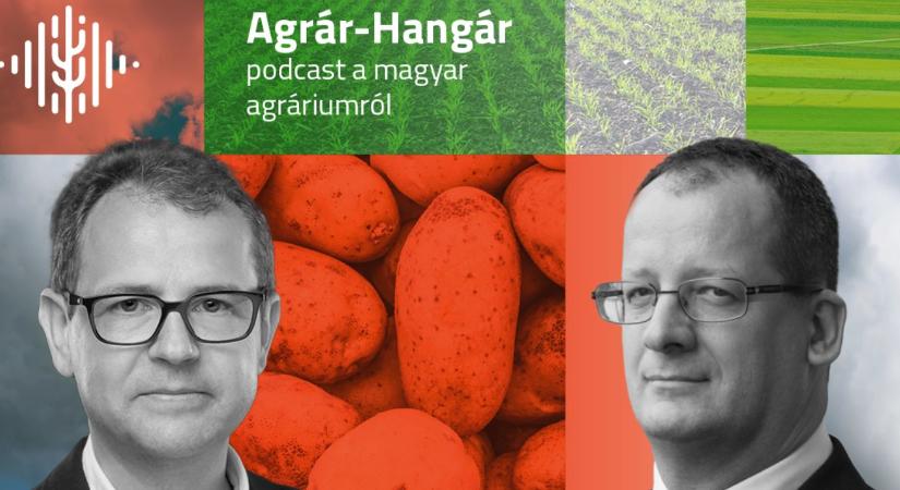Cirok, tritikálé, zab – új győztesek születhetnek a hazai szántókon? VIDEÓ