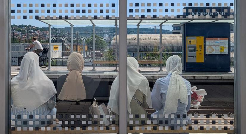 Migránsok honosítási botránya Berlinben. Pár kattintással német állampolgárság szerezhető