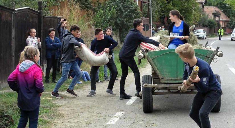Fekete ribizli, tűzoltóverseny és lovasíjászat: színes lesz a programkínálat Esztelneken