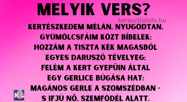 Napi irodalom feladat: Felismered a verset?
