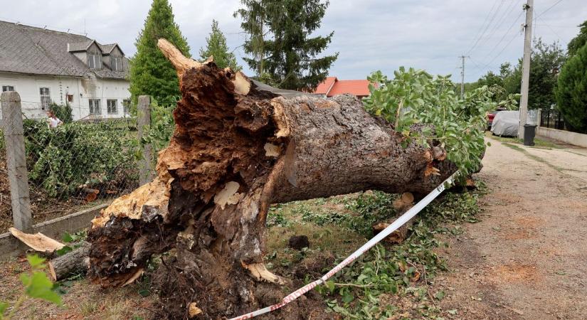 A Katolikus Karitász támogatja a viharkárosultakat
