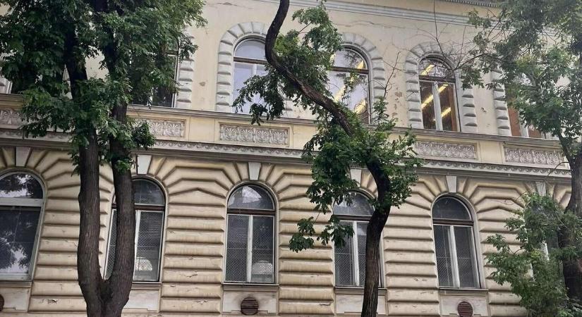 Lakossági panasz nyomán reagált a környezetgazdálkodás: válasz érkezett a belvárosi fák ügyében