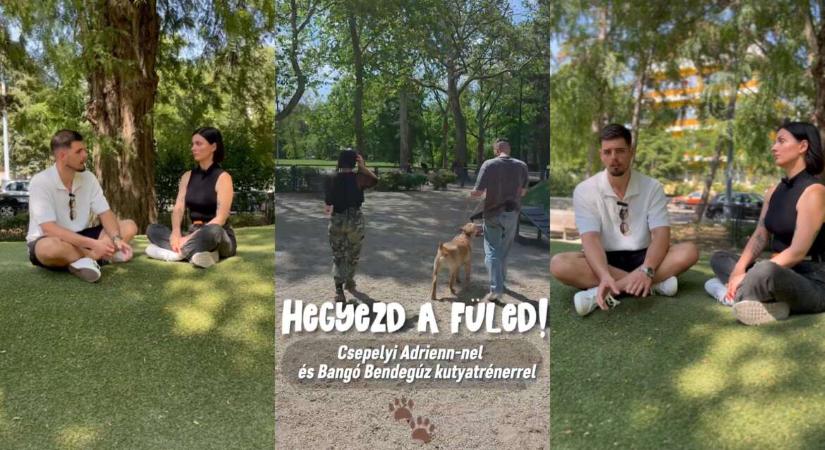 Mindent az élősködőkről – Hegyezd a füled! (videó)